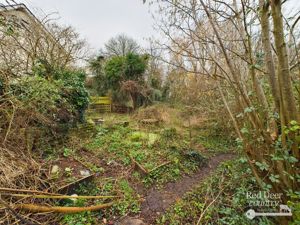 Garden- click for photo gallery